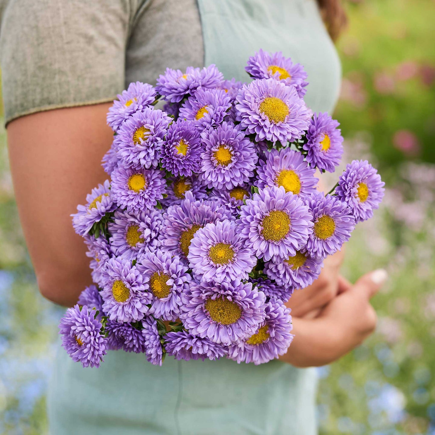 A person holding a bouquet of china aster matsumoto light blue flowers in a garden setting