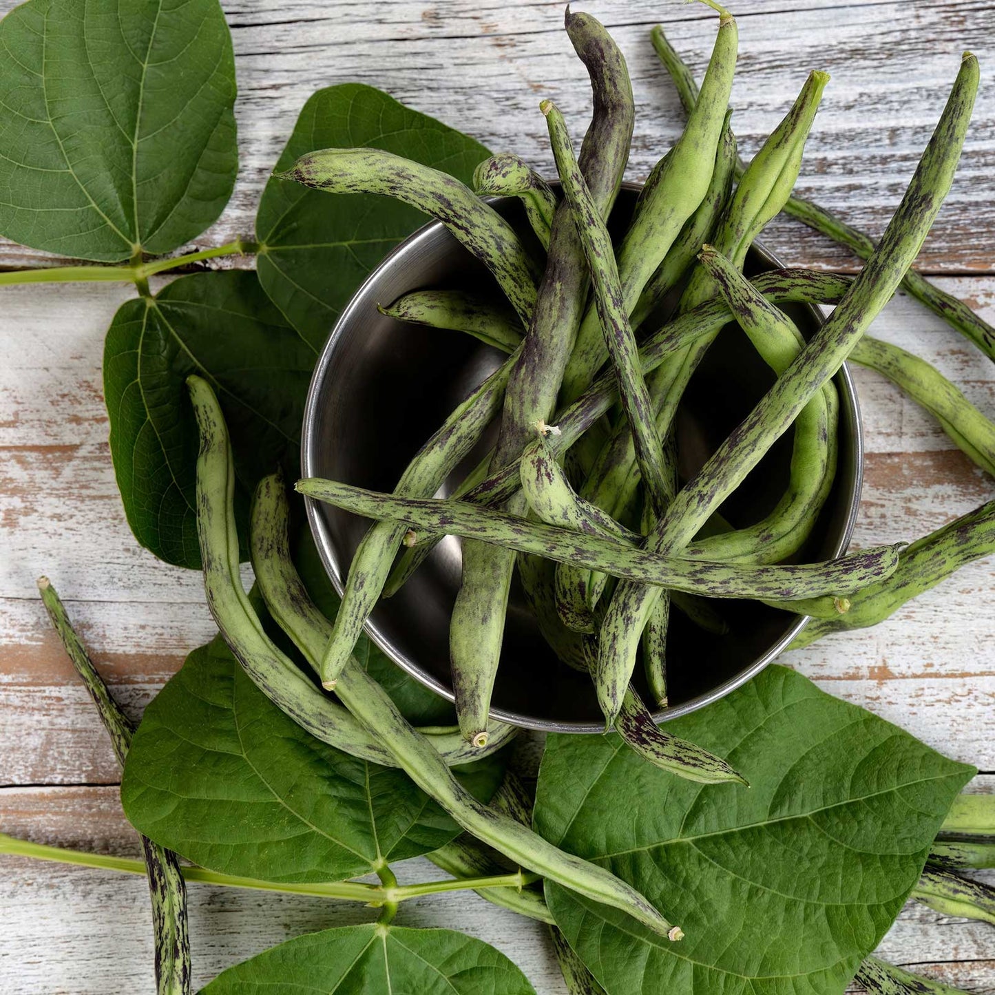 A metal bowl of green and purple rattlesnake beans on a wooden surface and the leaves of the vine in the front.