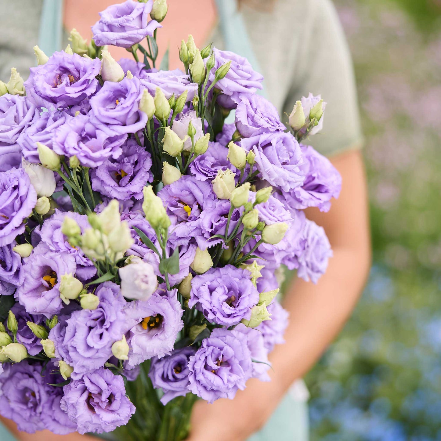 A close up of a person holding a bouquet of lisianthus corelli lavender flowers in a garden setting.
