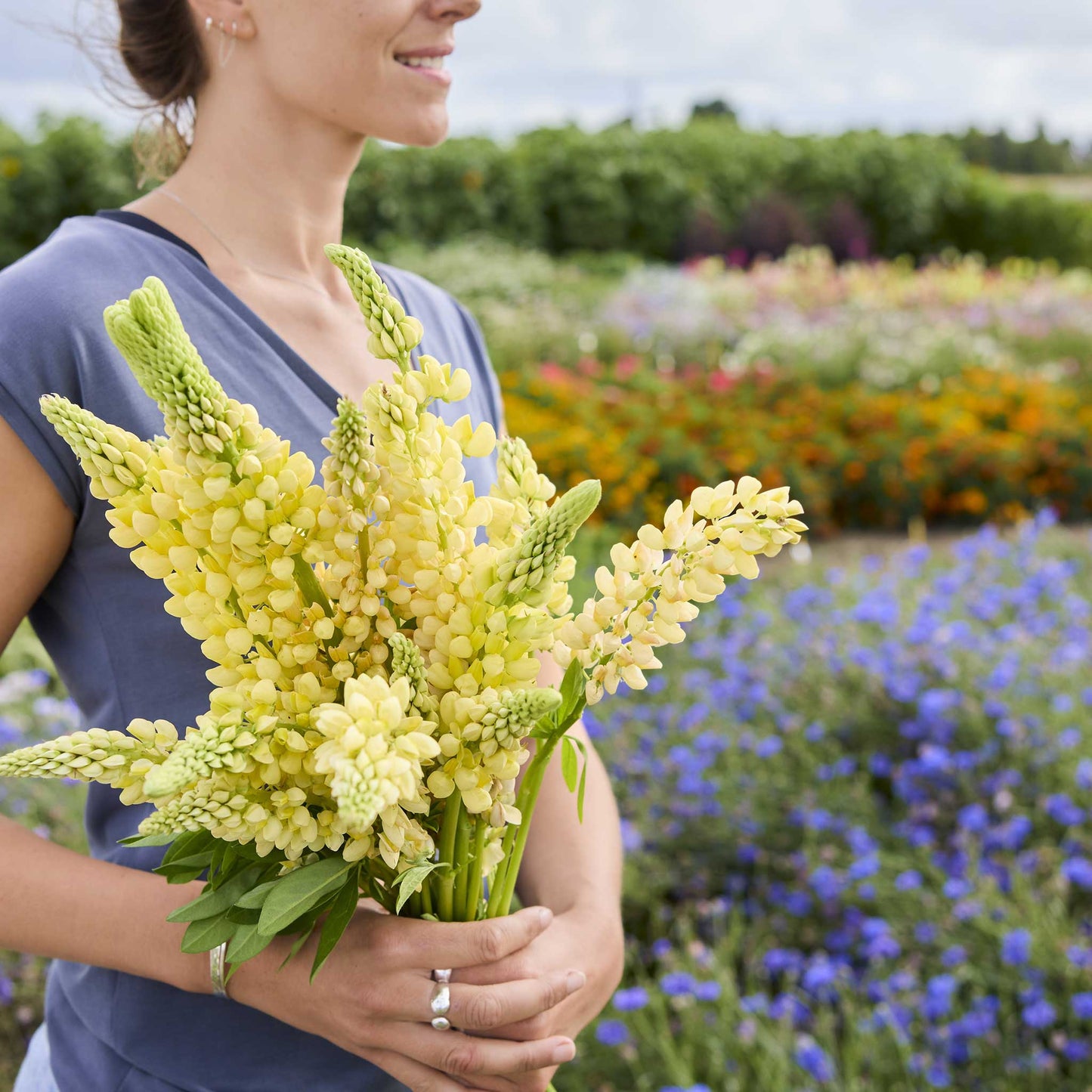 A person holding a bouquet of russell lupine chandelier flowers in a garden setting.