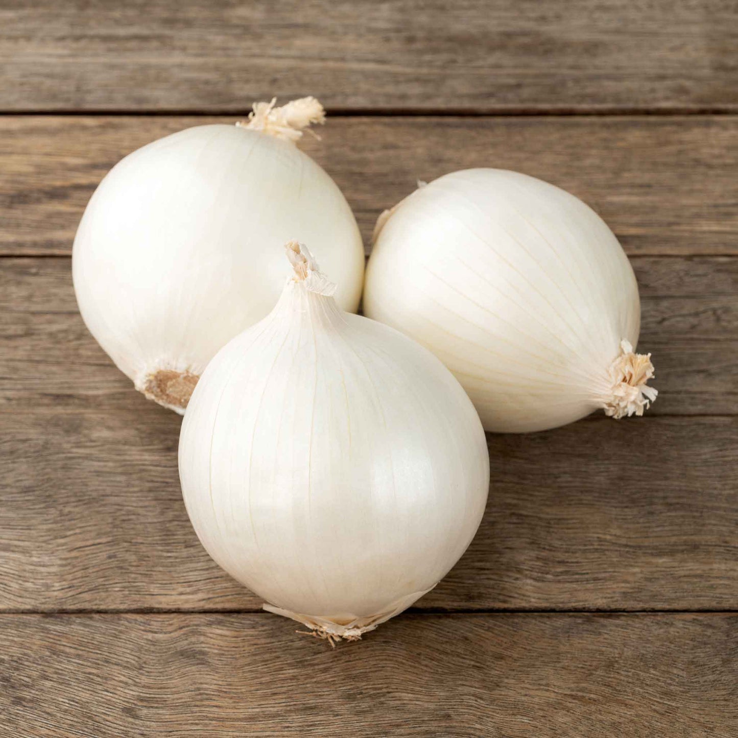 Three white ebinezer onions on a wooden surface