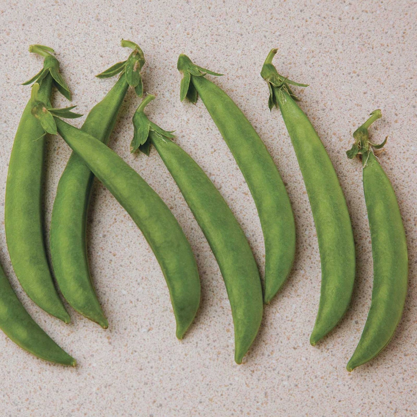 Harvested green Snak Hero pea pods with smooth green skin and the stem still attached