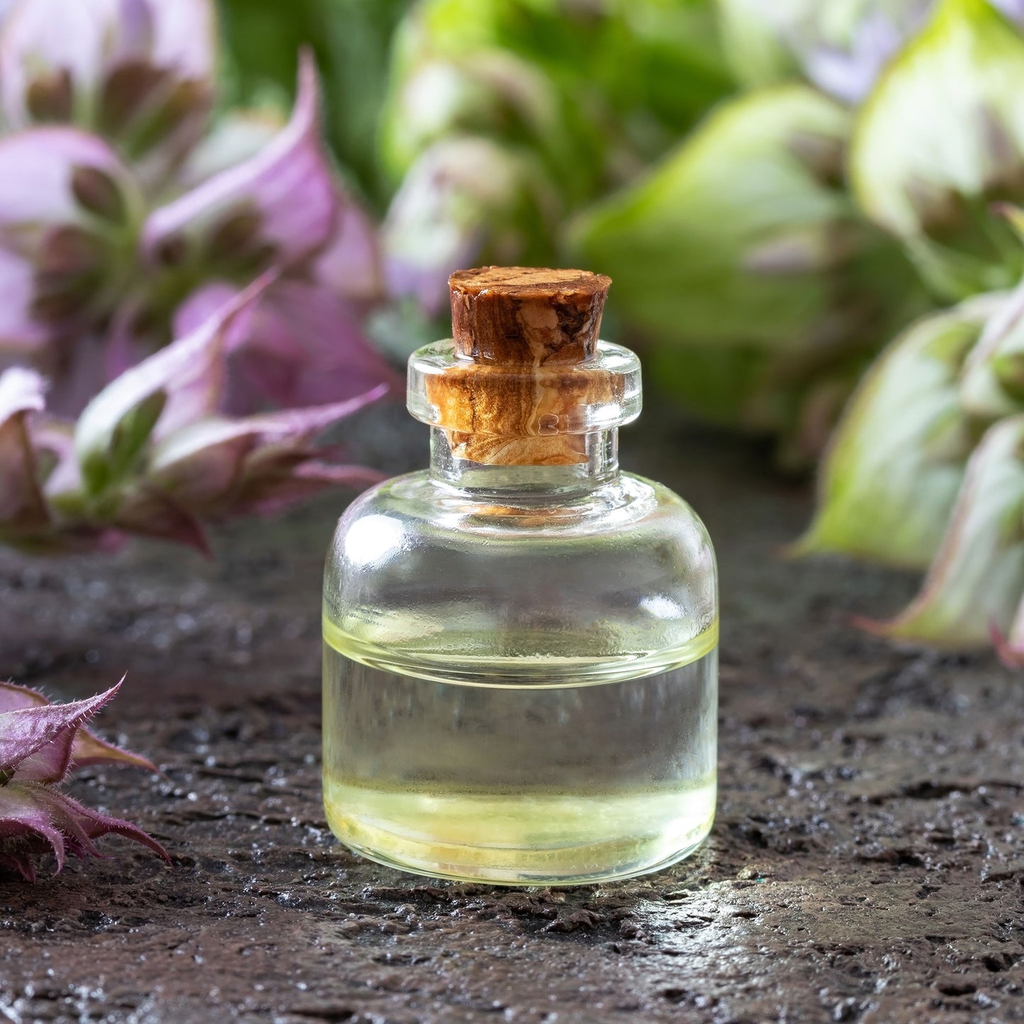 Clary Sage Blue Monday small oil bottle on a dark blurred background