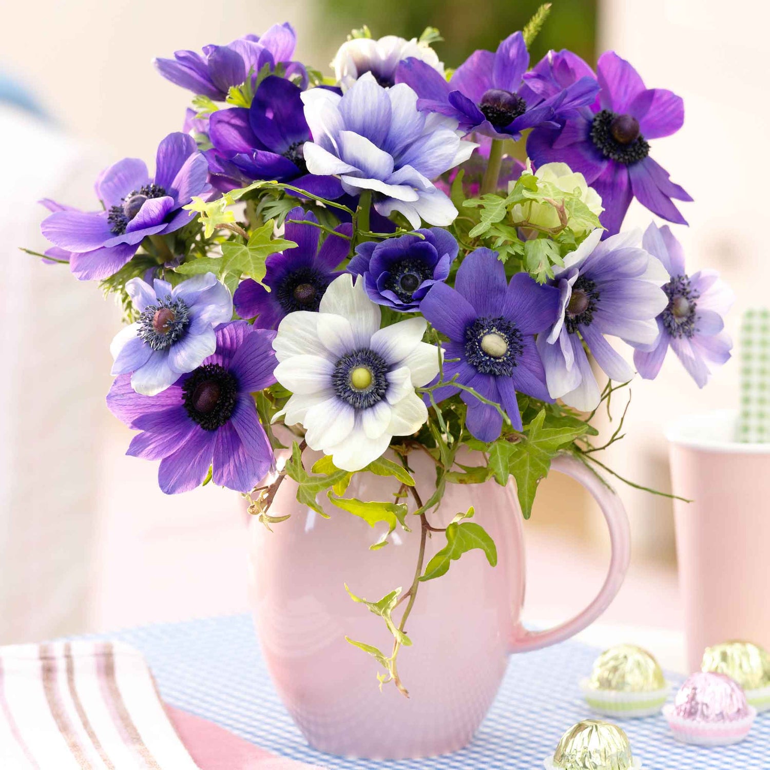 Anemone Bulbs