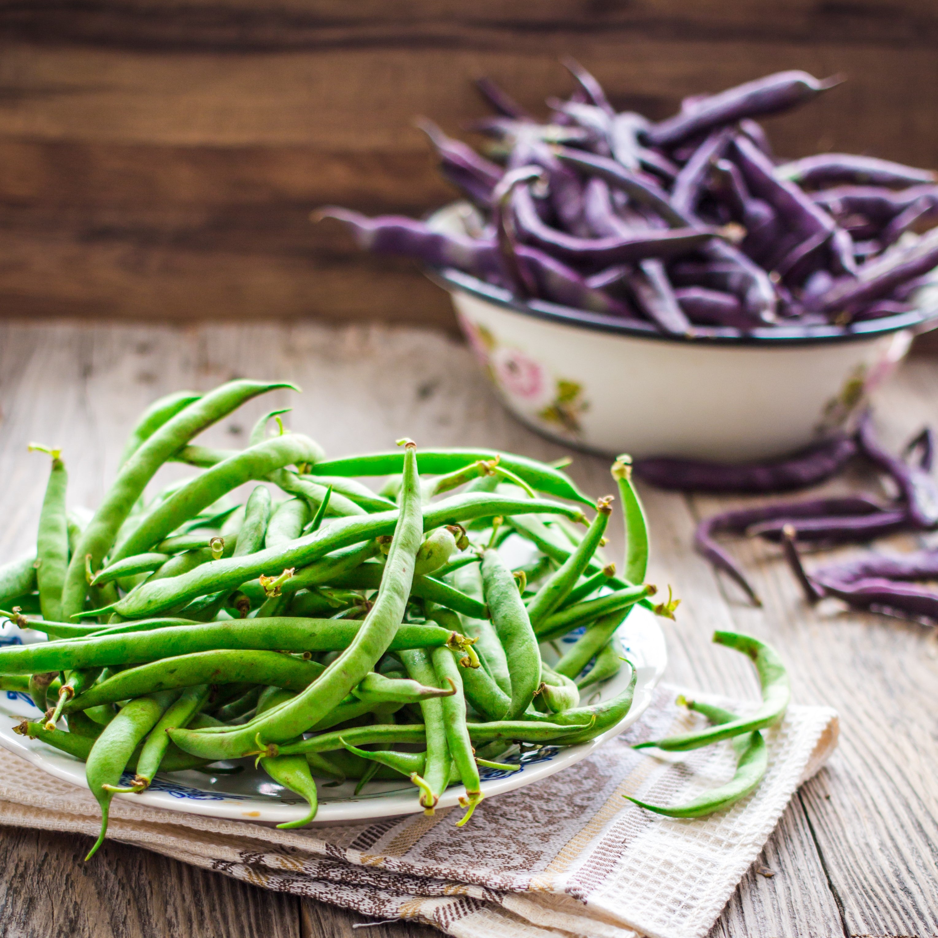 heirloom bean seeds