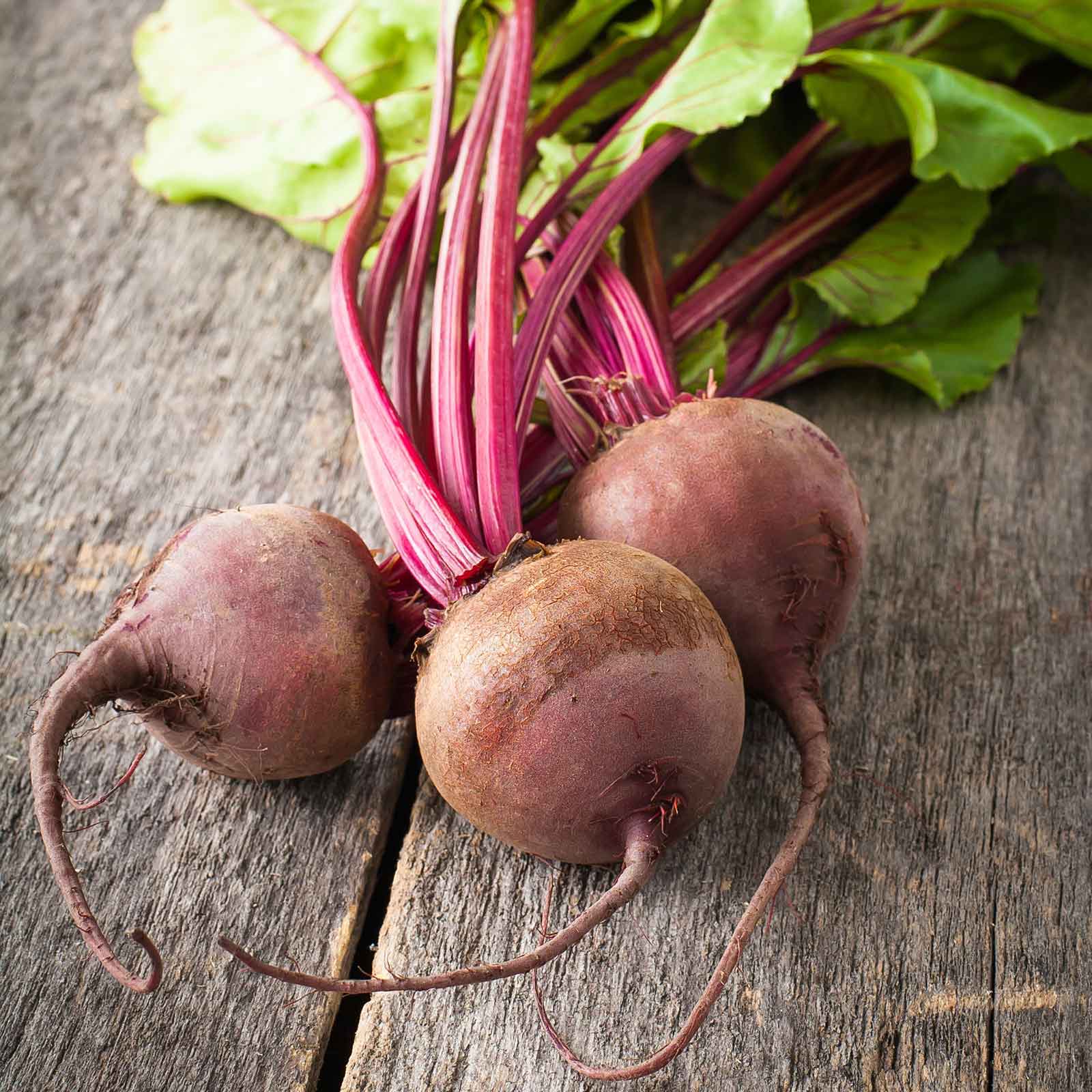 beet seeds