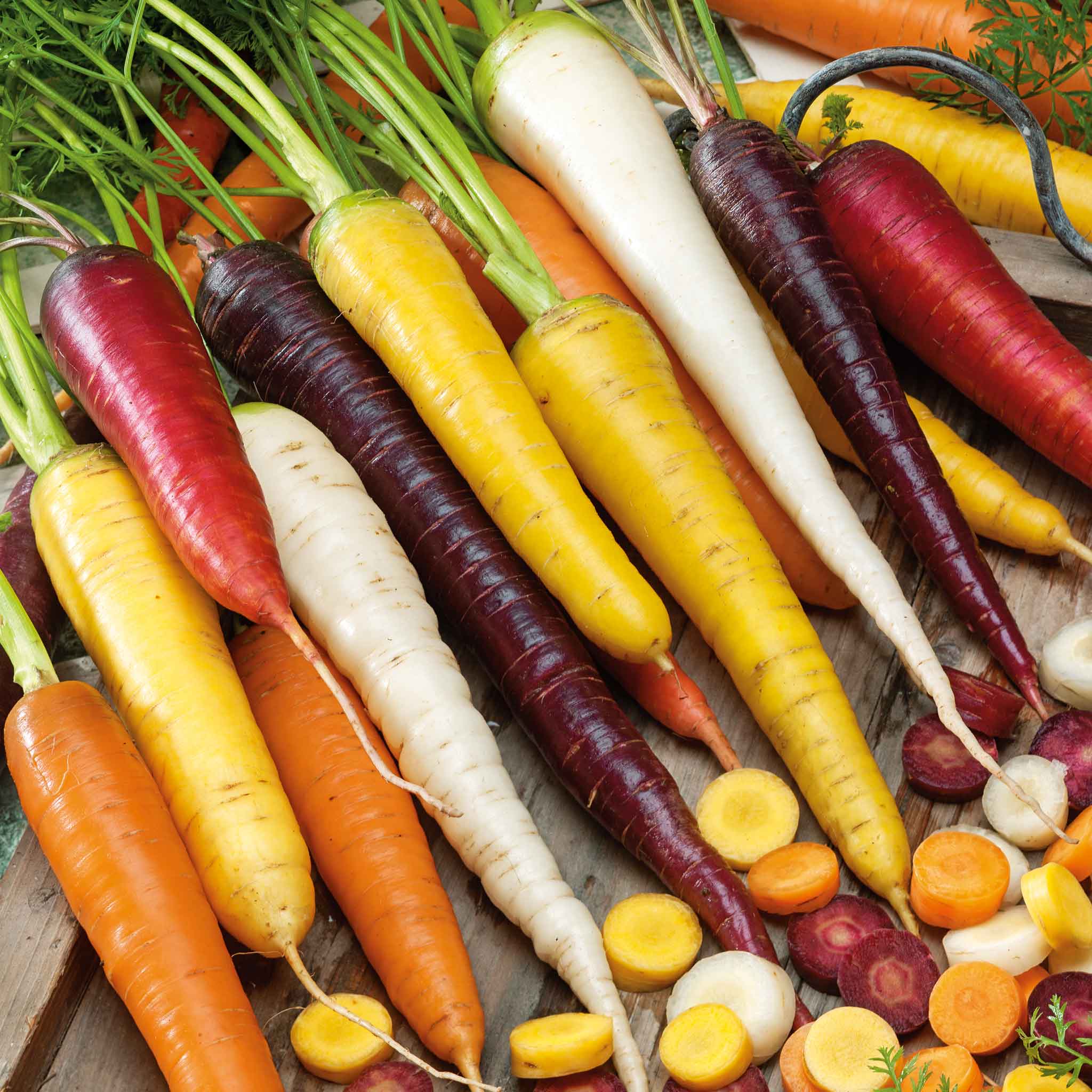 organic carrot seeds