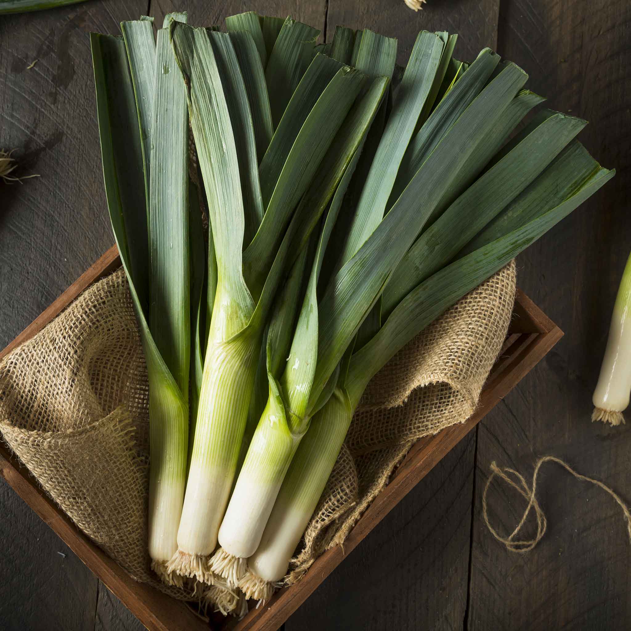 organic leek seeds
