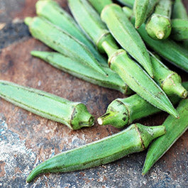 okra seeds