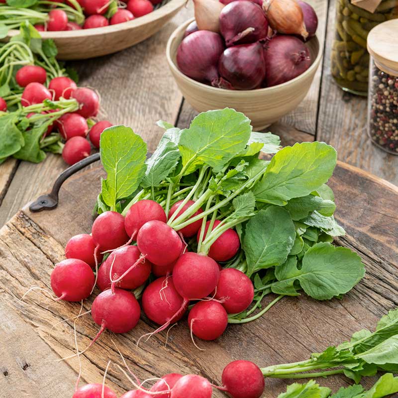 heirloom radish seeds