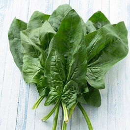 heirloom spinach seeds