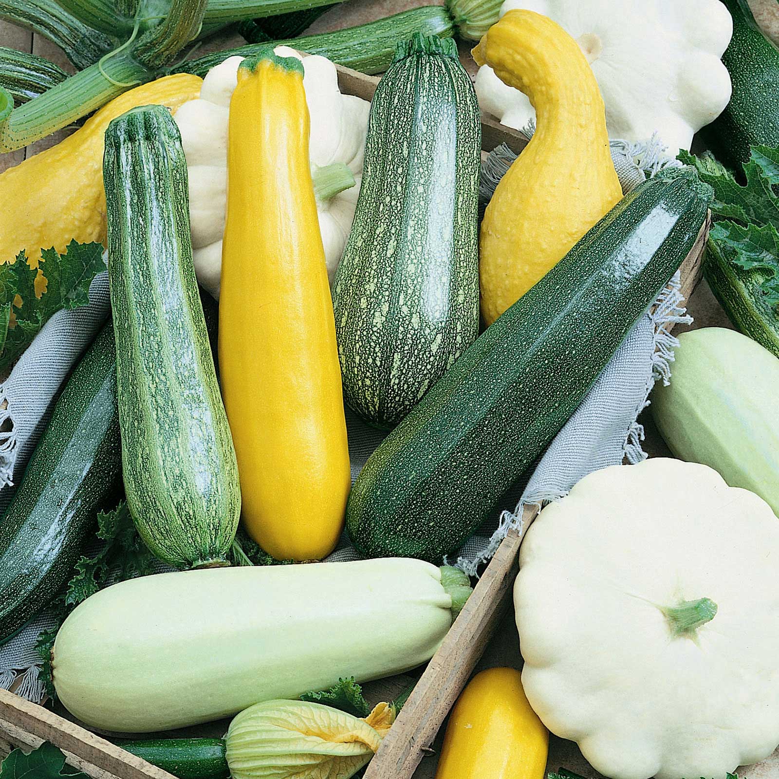 heirloom squash seeds