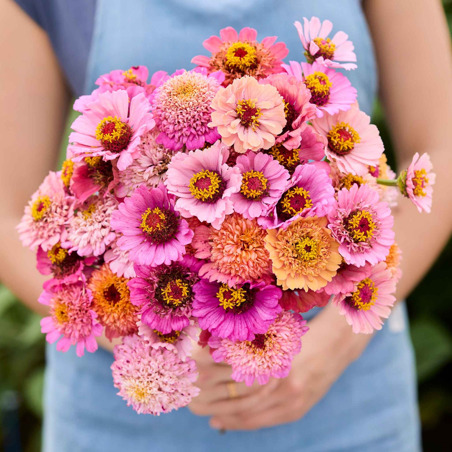 Zinnia Seeds