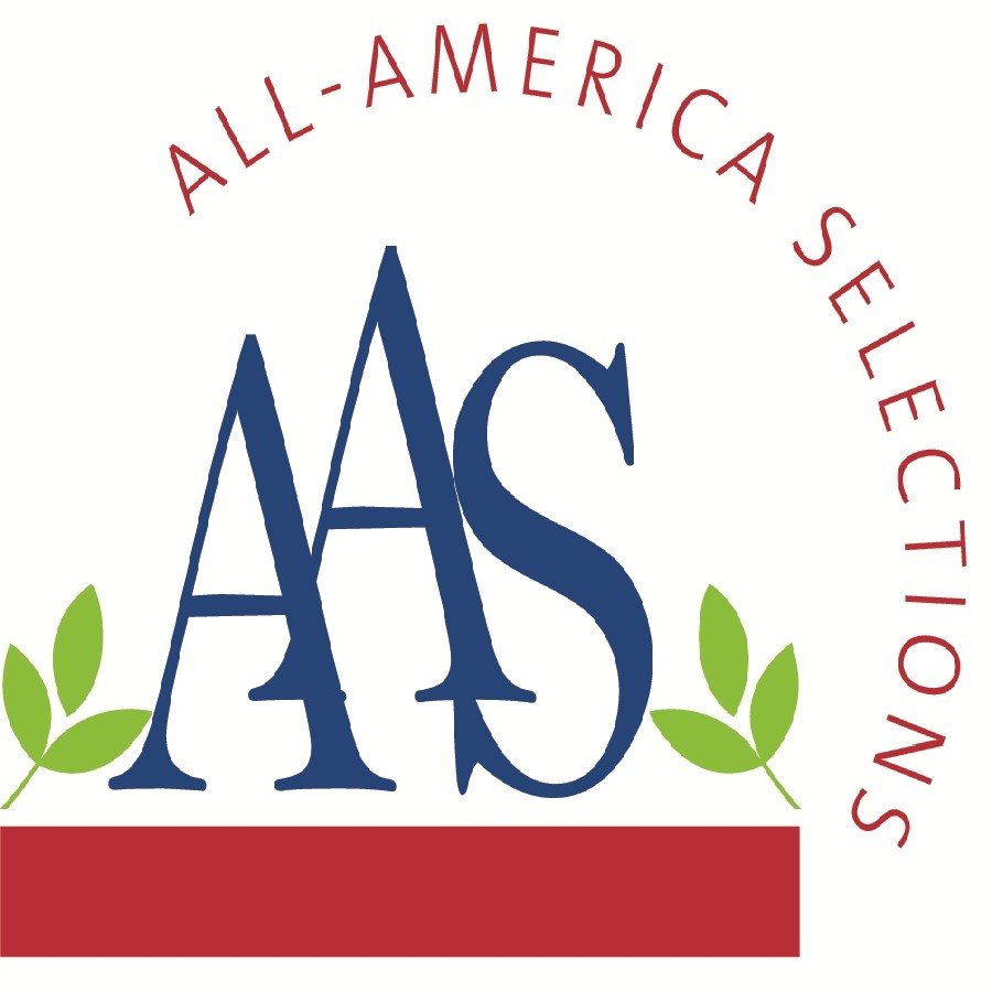 aas winners flowers
