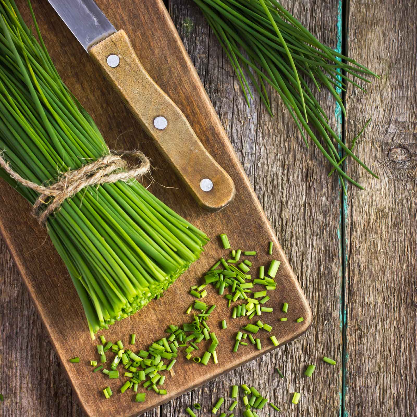 organic chive seeds