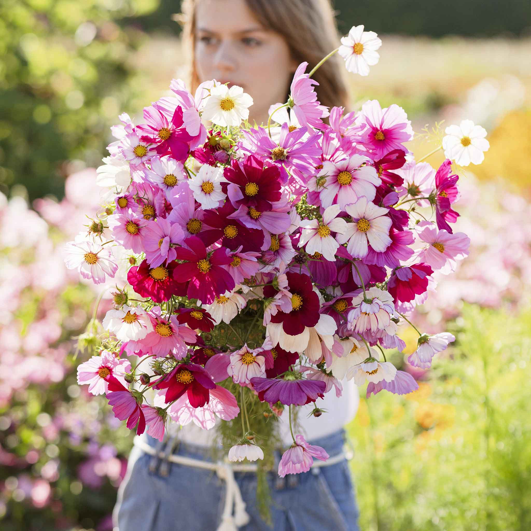 cut flower seeds