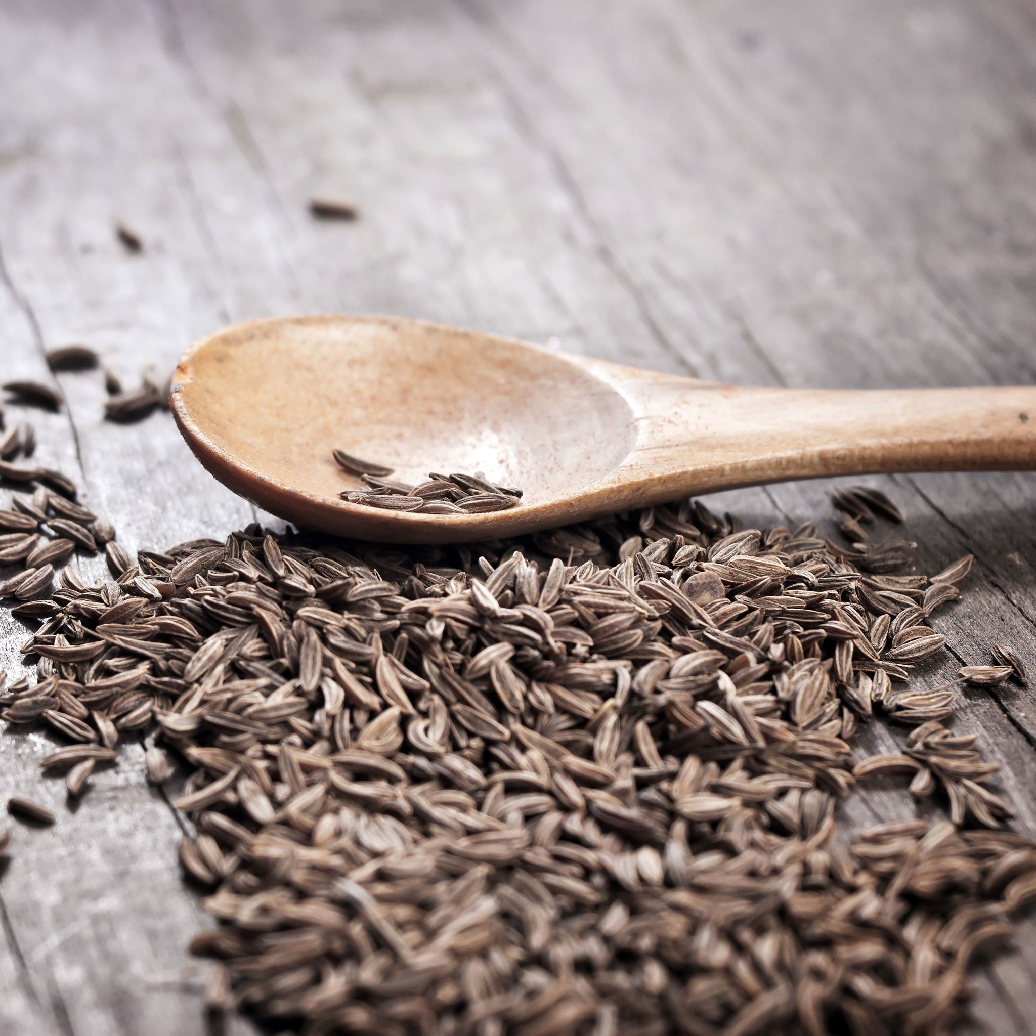 cumin seed