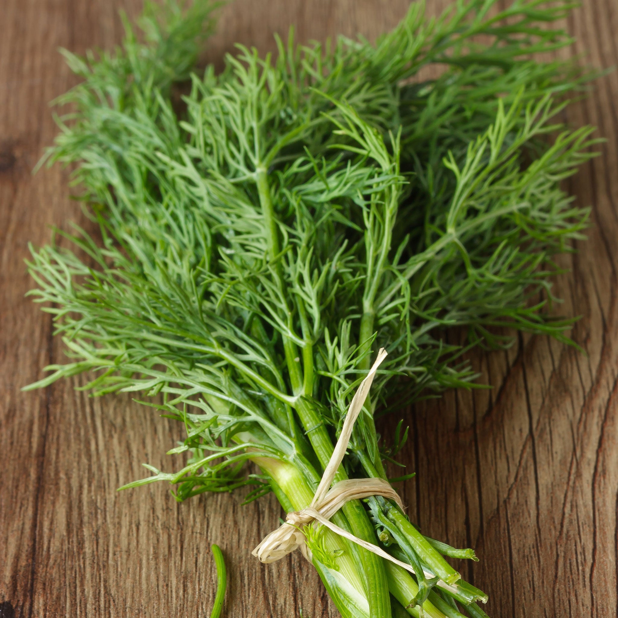 dill seeds