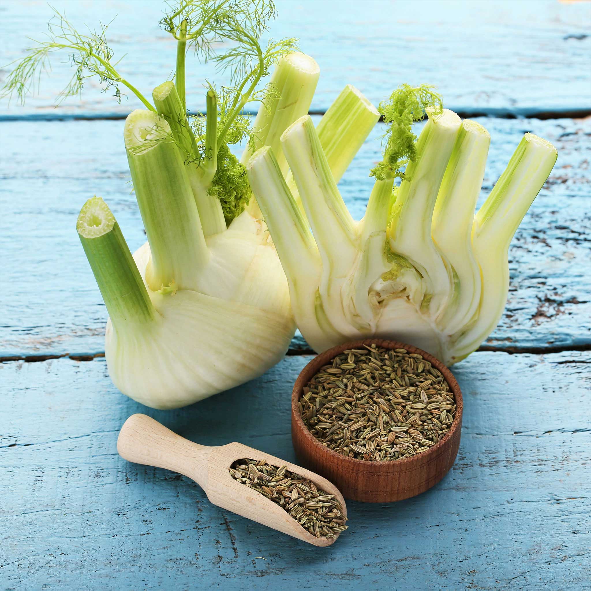 fennel seed