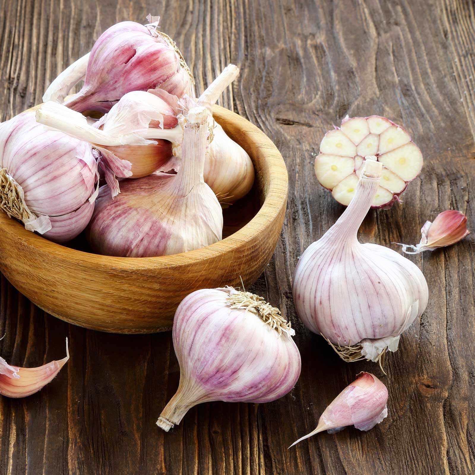 Garlic Bulbs