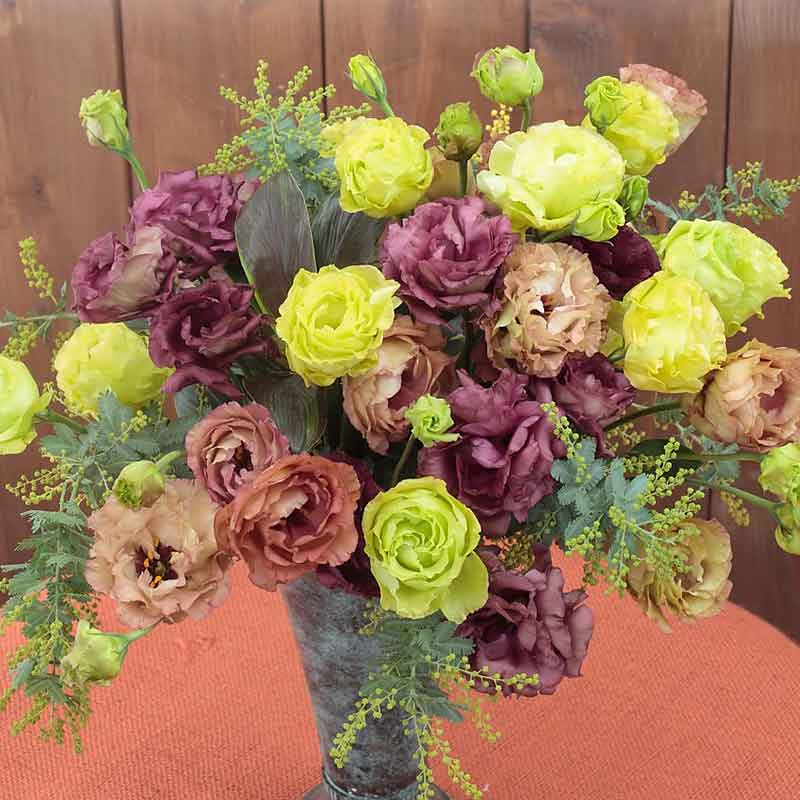 lisianthus seeds