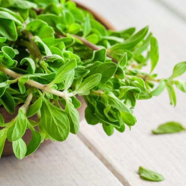 marjoram seeds