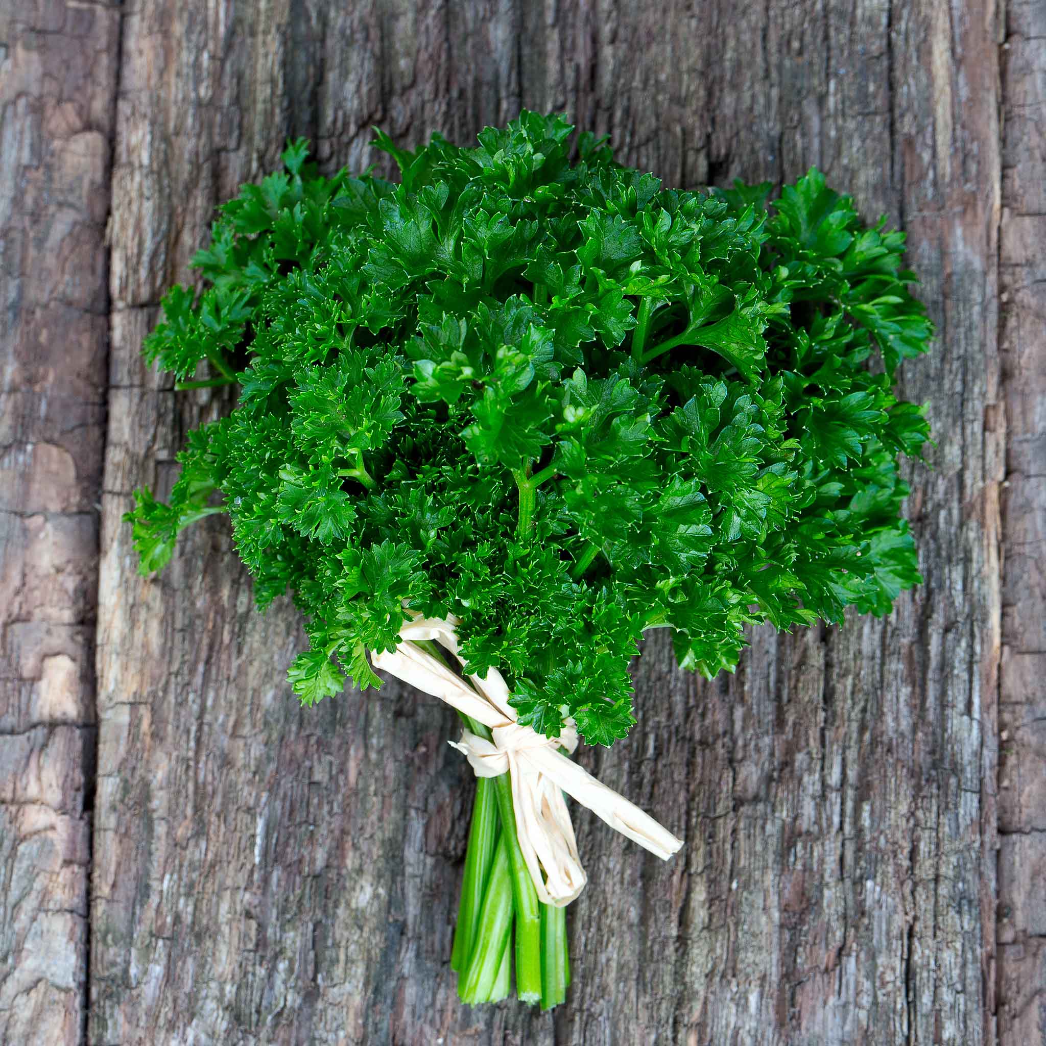 heirloom parsley seeds