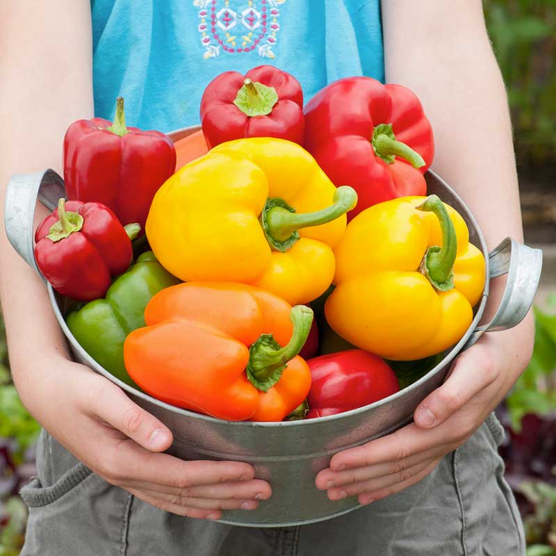 pepper seeds