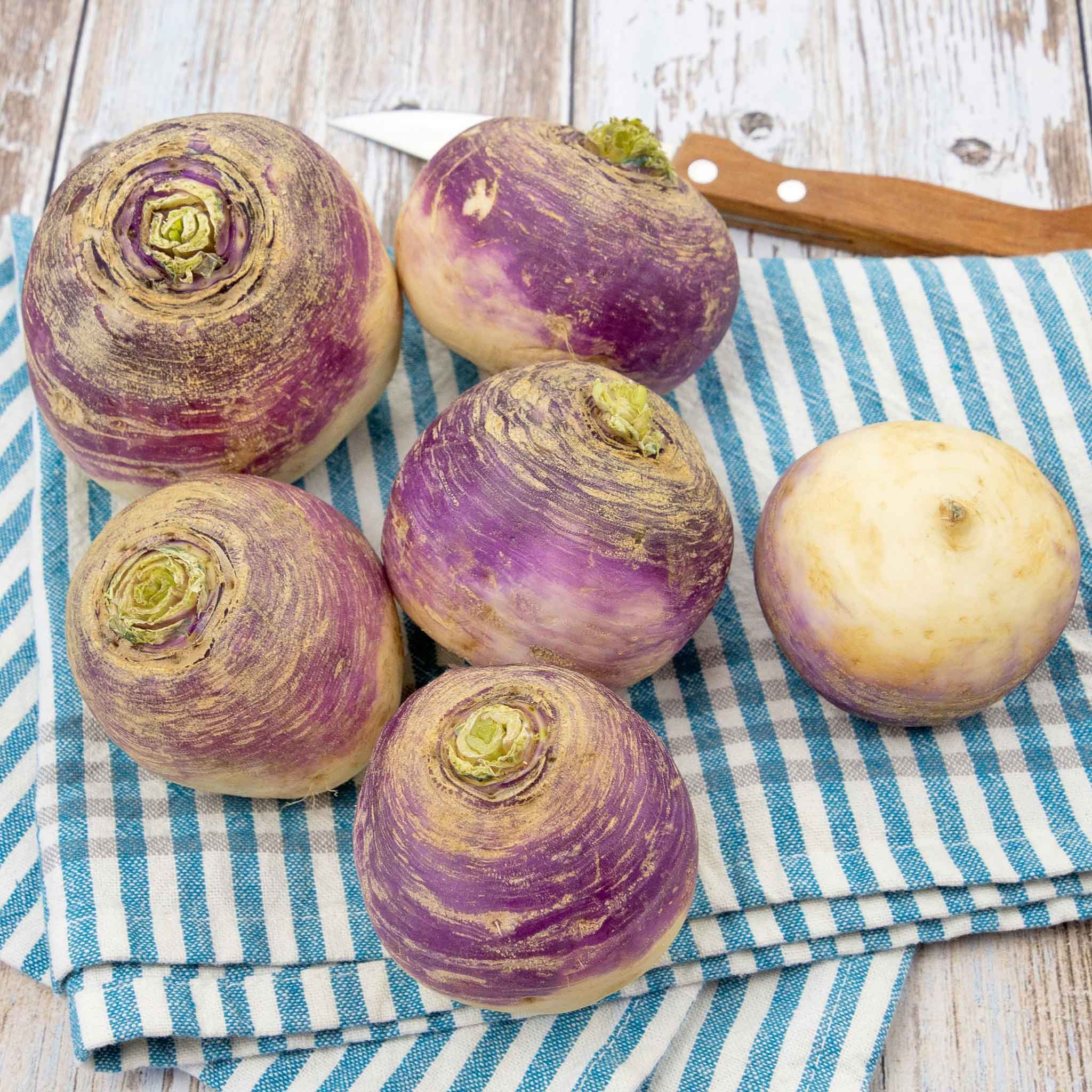 rutabaga seeds