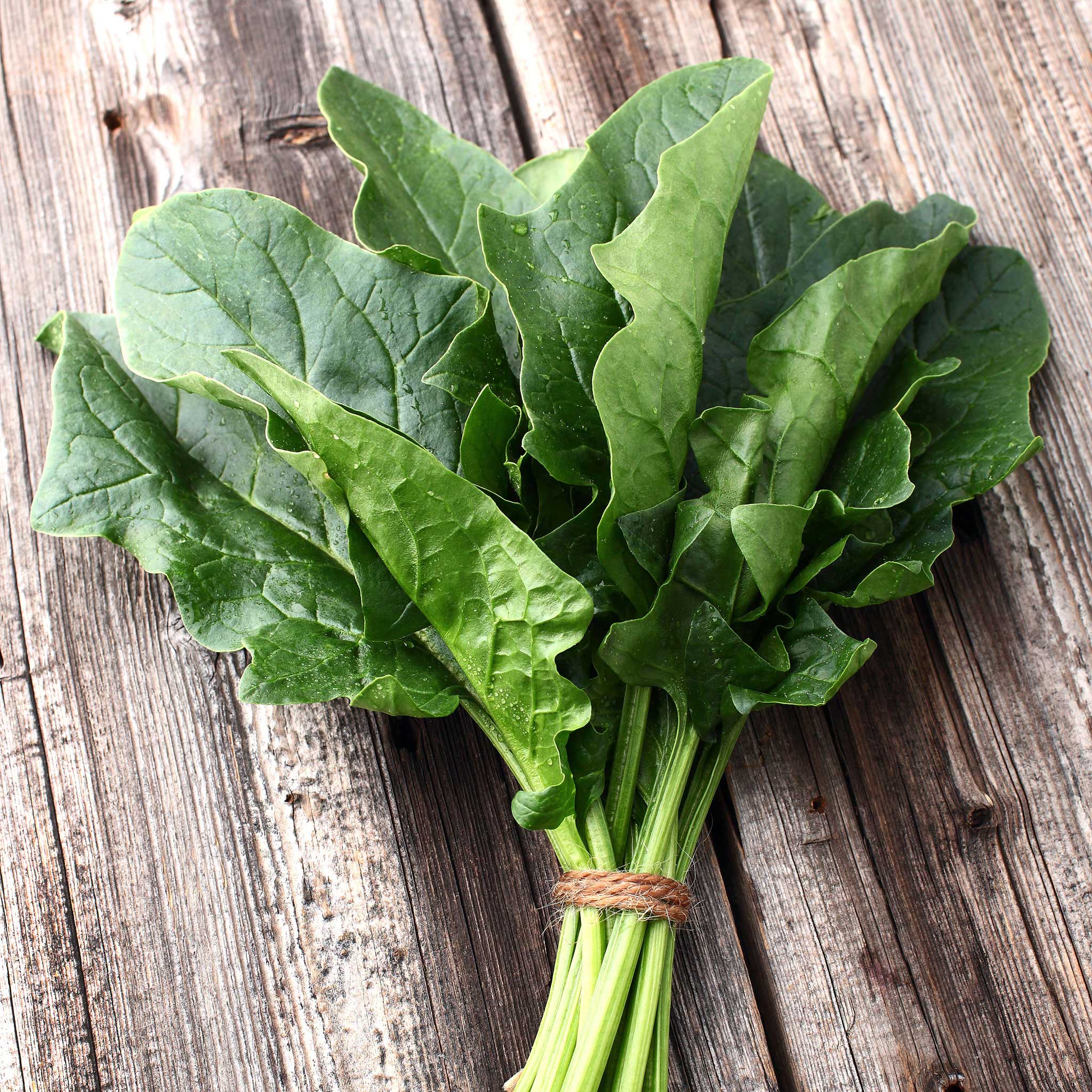 spinach seeds