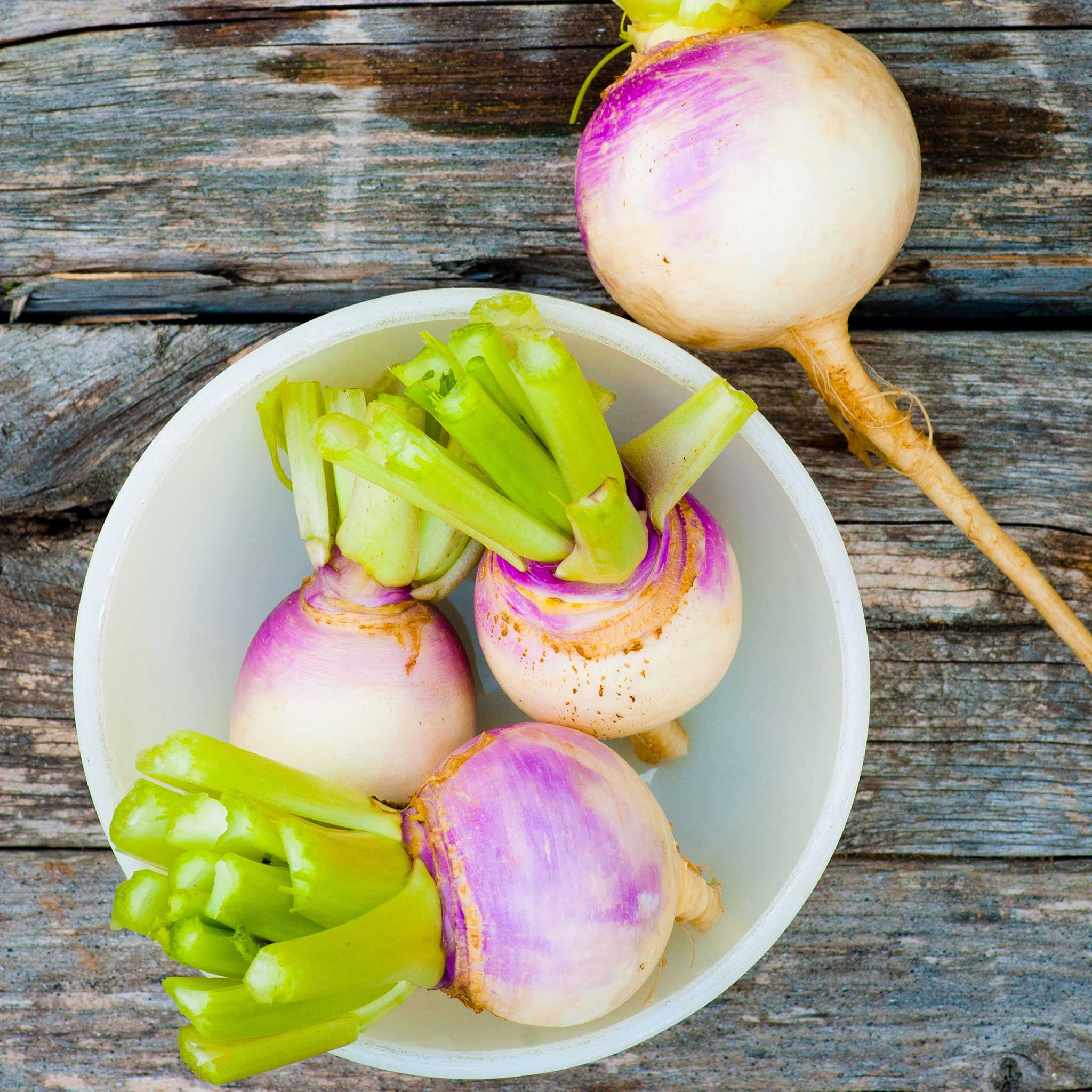 turnip seeds