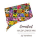 Graphic of the outline of the state for Connecticut Wildflower Seed Mix that contains images of the flowers in the mix