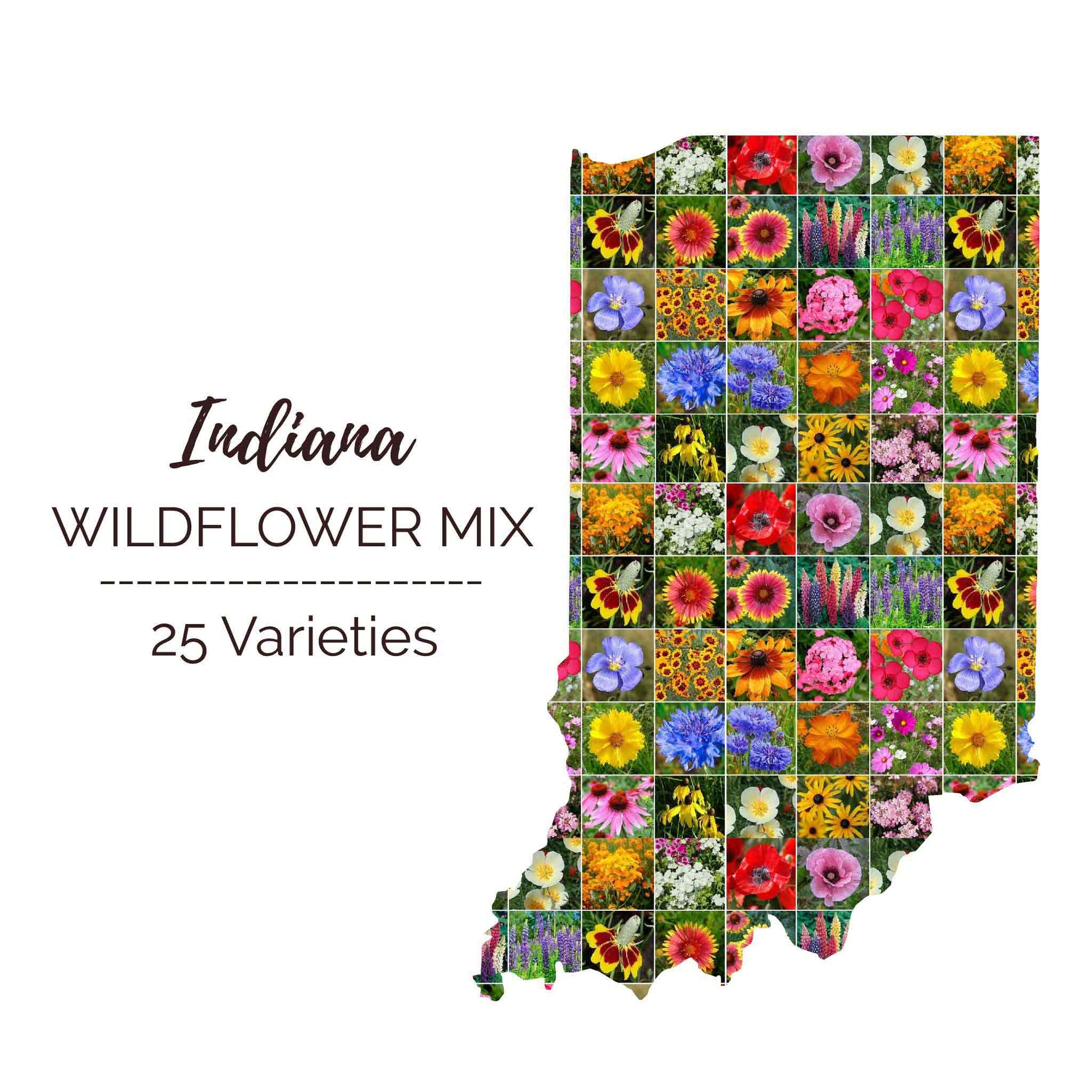 Graphic of the outline of the state for Indiana Wildflower Seed Mix that contains images of the flowers in the mix