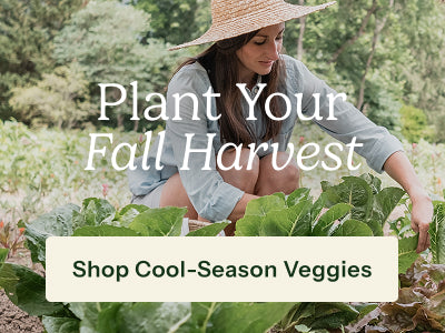 A woman wearing a straw hat and light blue shirt crouches in a garden among leafy green vegetables, with large overlaid text reading 'Plant Your Fall Harvest' and a banner that says 'Shop Cool-Season Veggies'.