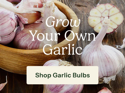 A rustic wooden bowl filled with garlic bulbs and a sliced garlic bulb on a dark wood surface, with large overlaid text reading 'Grow Your Own Garlic' and a button that says 'Shop Garlic Bulbs'.