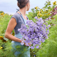 Woman holding a bouquet of purple Ageratum flowers in a natural setting.