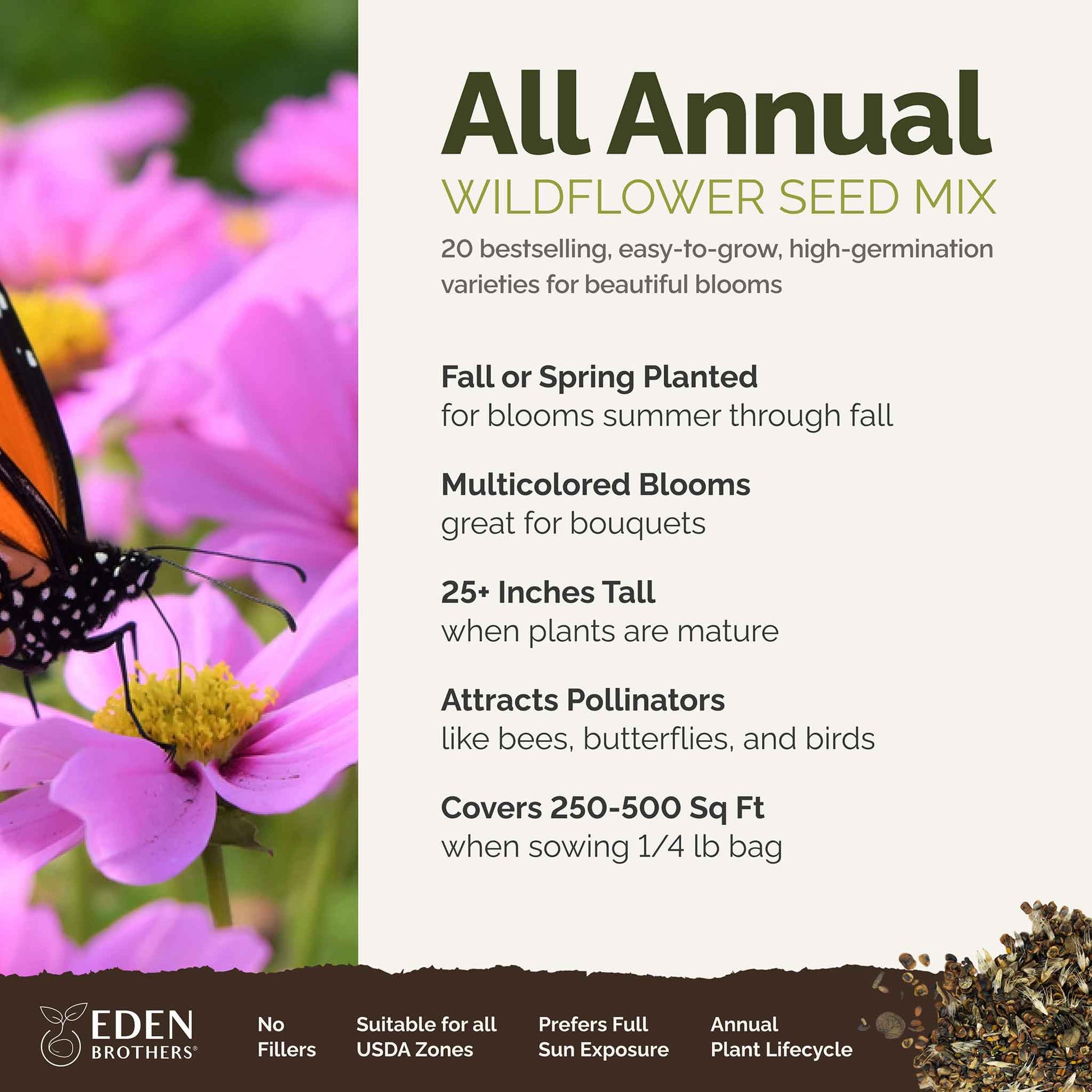 A visual overview of the wildflower seed mix, showcasing expected floral blooms.
