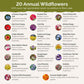 List of flower species and seeds included in the Wildflower Seed Mix.