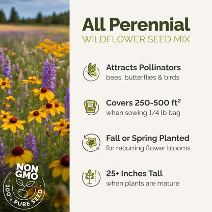 Wildflower seed mix advertisement with field of flowers on the left and text on the right.