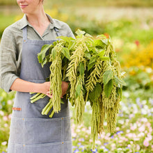 Person holding a bundle of green amaranths in an outdoor setting