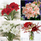 Four Amaryllis 'Holiday Mix' bulbs, against white backgrounds, read for festivities.