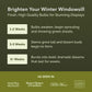 Promotional graphic for gardening bulbs with growth stages and brand endorsements.