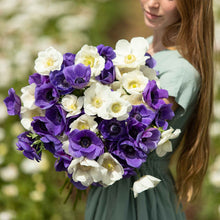 Vibrant purple and white anemone flowers are held in a girls hands, showcasing delicate petals.