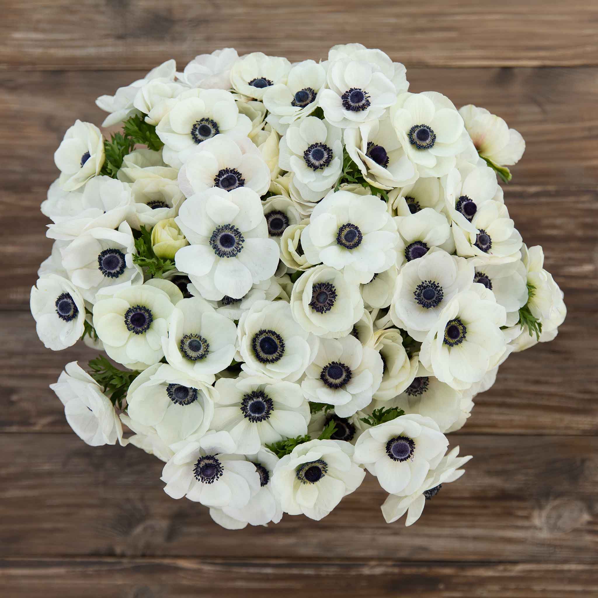A boquet of white anemone flowers with dark centers and green foliage on a wooden table.
