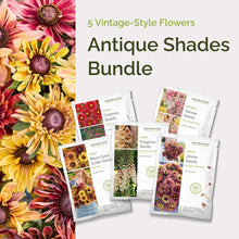 Graphic of antique shades bundle pack displaying a product image and contents of the bundle.