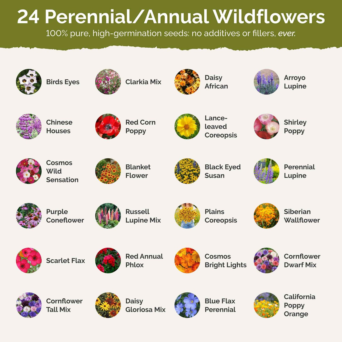List of flower species and seeds included in the Wildflower Seed Mix.