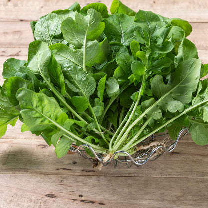 A cluster of arugula rocket freshly harvested on a wooden background.