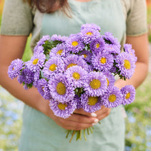 A person holding a bouquet of china aster matsumoto light blue flowers in a garden setting