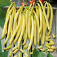 Close-up of vibrant yellow pencil pod wax beans hanging to be dried.