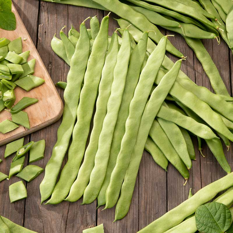 A close-up of vibrant green Romano bean pods on a dark background. | copyright: Floramedia UK Ltd